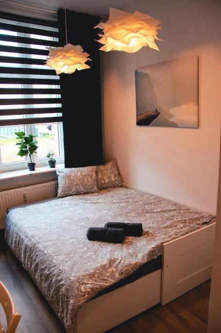 *Apartamenty Kattowitz 12 Exteriör bild